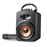 Bærbar karaokehøjttaler med mikrofon